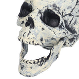 Skeleton Decor Cosplay DIY Multifunctional Lifelike Compact Scary Halloween Skeleton - Extra Image