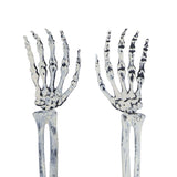 Skeleton Decor Cosplay DIY Multifunctional Lifelike Compact Scary Halloween Skeleton - Extra Image