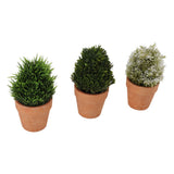 3PCS Artificial Potted Plants Set Plastic Indoor Small Fake Greenery Potted Plants for Home Bathroom Living Room Bedroom Office Desk Bookshelf Decor - Side View