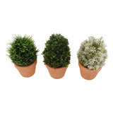 3PCS Artificial Potted Plants Set Plastic Indoor Small Fake Greenery Potted Plants for Home Bathroom Living Room Bedroom Office Desk Bookshelf Decor - Top-Down View