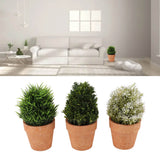 3PCS Artificial Potted Plants Set Plastic Indoor Small Fake Greenery Potted Plants for Home Bathroom Living Room Bedroom Office Desk Bookshelf Decor - Extra Image
