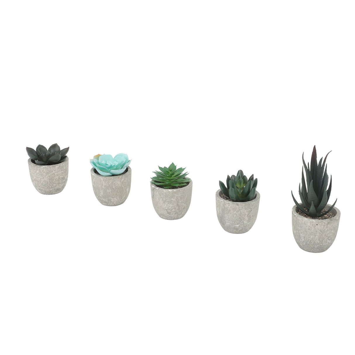 5pcs Artificial Succulent Plants Potted Assorted Mini Decorative Faux Succulent Potted Fake Plants Succulents in Paper Pulp Pot
