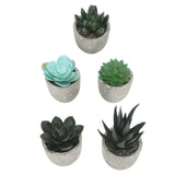 5pcs Artificial Succulent Plants Potted Assorted Mini Decorative Faux Succulent Potted Fake Plants Succulents in Paper Pulp Pot - Extra Image