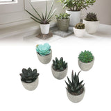 5pcs Artificial Succulent Plants Potted Assorted Mini Decorative Faux Succulent Potted Fake Plants Succulents in Paper Pulp Pot