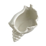 White Ceramic Conch Shell Conch Shape Ceramic Jewelry Tray Ocean Style Earrings Necklace Storage Dish Decorative Key Bowl