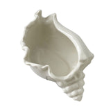 White Ceramic Conch Shell Conch Shape Ceramic Jewelry Tray Ocean Style Earrings Necklace Storage Dish Decorative Key Bowl - Top-Down View
