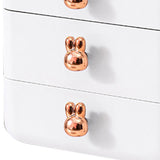 Desktop Drawer Jewelry Hair Accessories Sundries Storage Box Tabletop Organizer for Bedroom Dormitory Office