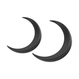 2Pcs Moon Hair Fork ABS Decorative Portable Moon Hairpin Hair Stick for Daily Shopping Cosplays Black