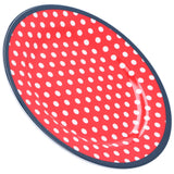 9in Imitation Porcelain Dinner Plate Decorative Reusable Snack Plate Lightweight Tableware for Cakes FruitRed Dot - 45-Degree Angle