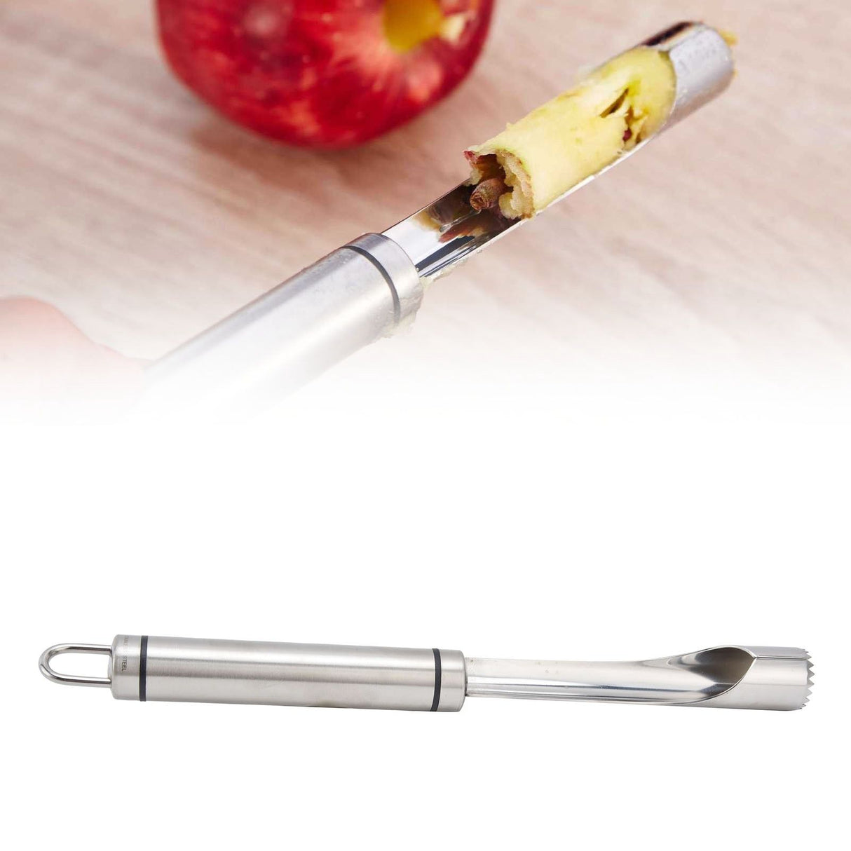 Apple Corer Wall Mounted Stainless Steel Sturdy Durable Multifunctional Fruit Corer