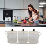 Spice Box Set Nordic Style Visual Innovative Household Movable Kitchen Spice Pot with Iron Rack and Spoon 3PCS Set