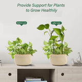 3 Pcs Metal Garden Trellis Climbing Plants Support Indoor Iron Plant Trellis for Ivy Vine Rose Flowers House Plants
