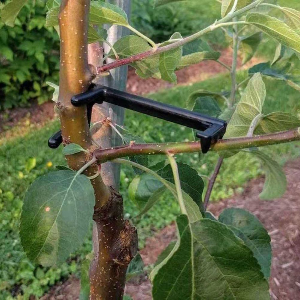 100PCS Adjustable Fruit Branch Spreader to Support New Branch Growth Reusable Plastic Bonsai Branch Trunk Spreaders