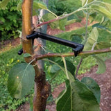 100PCS Adjustable Fruit Branch Spreader to Support New Branch Growth Reusable Plastic Bonsai Branch Trunk Spreaders