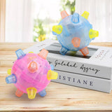 Pet Glowing Bouncing Ball Toy for Dogs Flashing Ball Elastic Flash LED Dog Toy with Light and Music Gift for Pets - Rear View