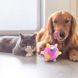 Pet Glowing Bouncing Ball Toy for Dogs Flashing Ball Elastic Flash LED Dog Toy with Light and Music Gift for Pets