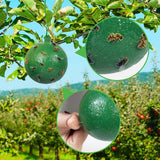 10Pcs Fruit Fly Trap with Sticky Gnat Killer Fruit Fly Traps Effective Fly Catcher Insect Trap for Indoor Outdoor Kitchen