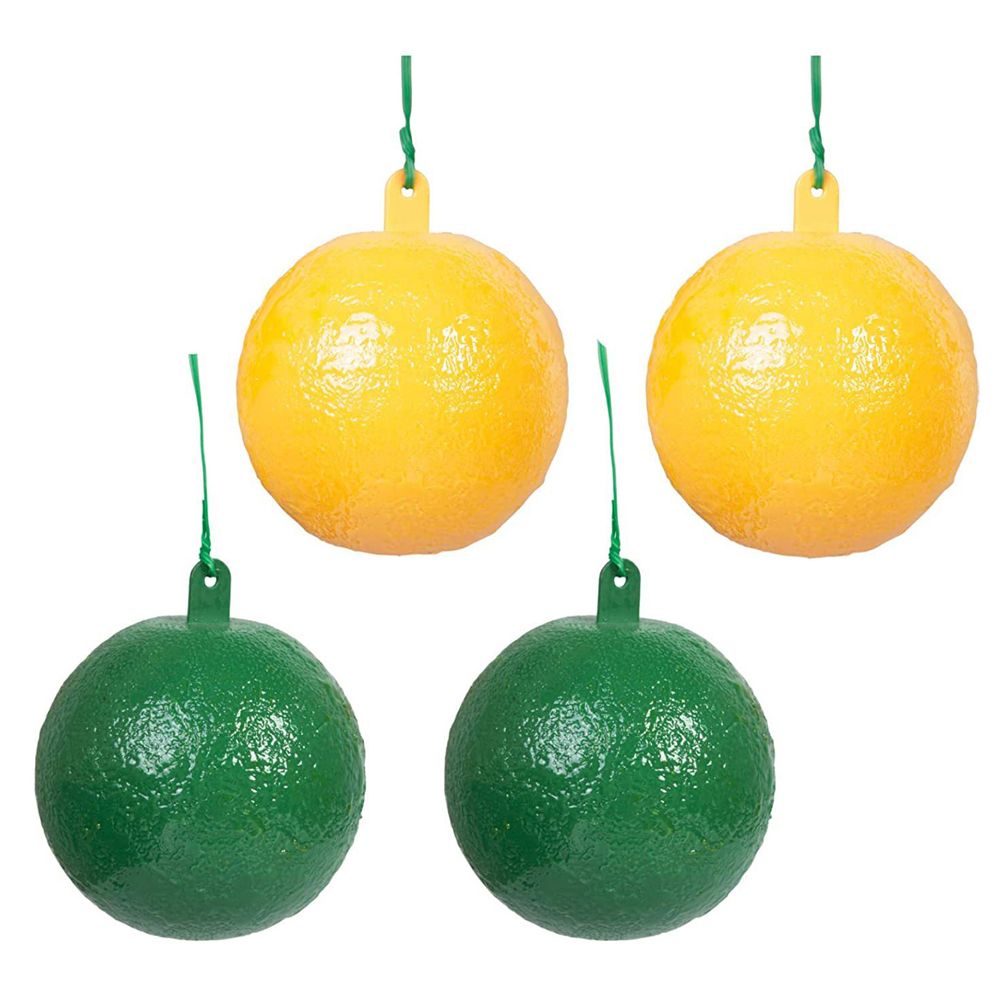10Pcs Fruit Fly Trap with Sticky Gnat Killer Fruit Fly Traps Effective Fly Catcher Insect Trap for Indoor Outdoor Kitchen