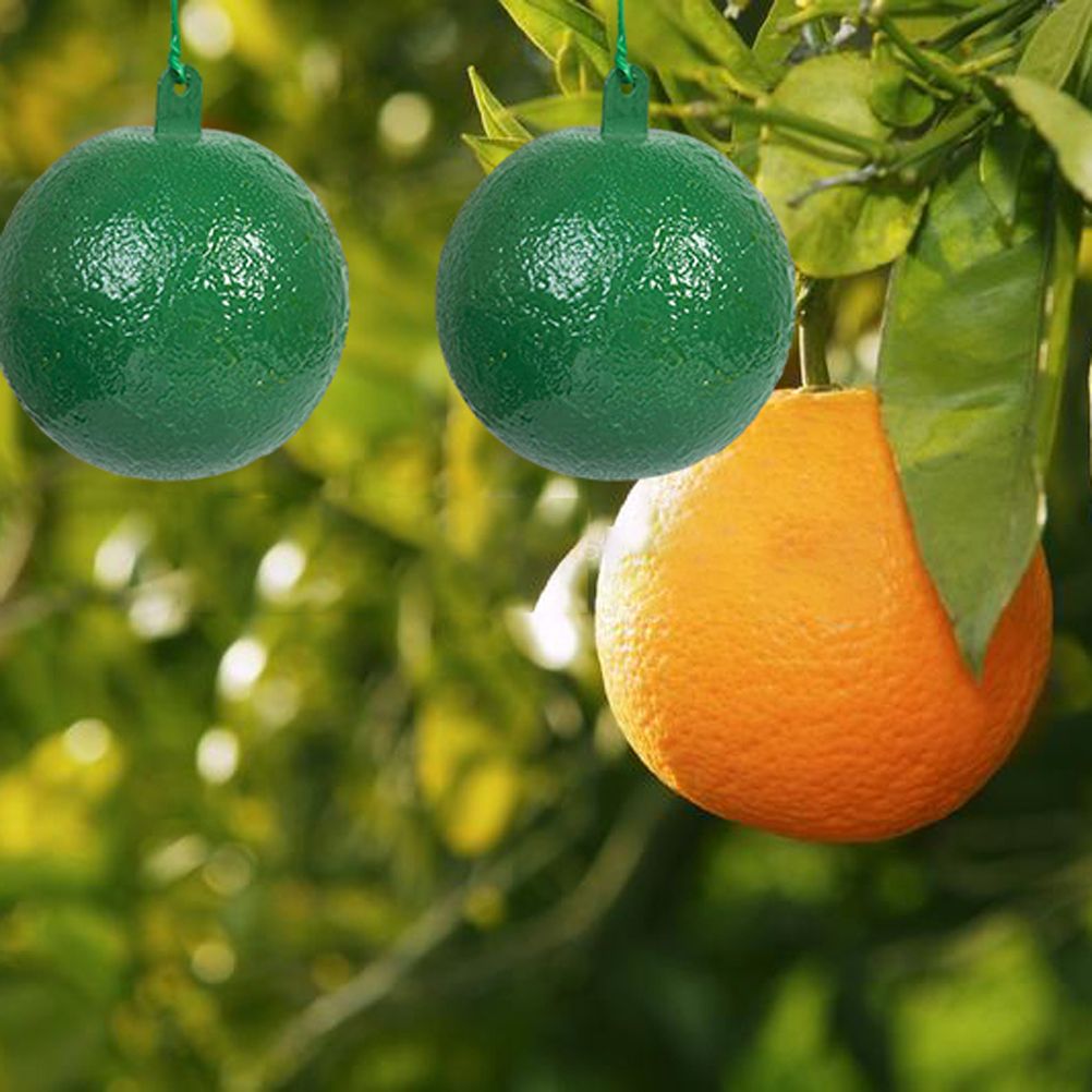 10Pcs Fruit Fly Trap with Sticky Gnat Killer Fruit Fly Traps Effective Fly Catcher Insect Trap for Indoor Outdoor Kitchen