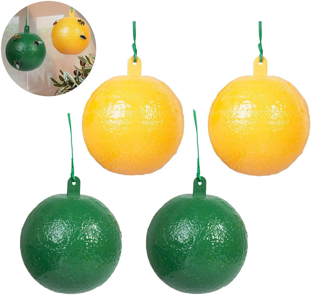 10Pcs Fruit Fly Trap with Sticky Gnat Killer Fruit Fly Traps Effective Fly Catcher Insect Trap for Indoor Outdoor Kitchen