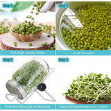 Sprouting Jar With Stainless Steel 304 Screen Lid Wide Mouth Quart Mason Sprouter