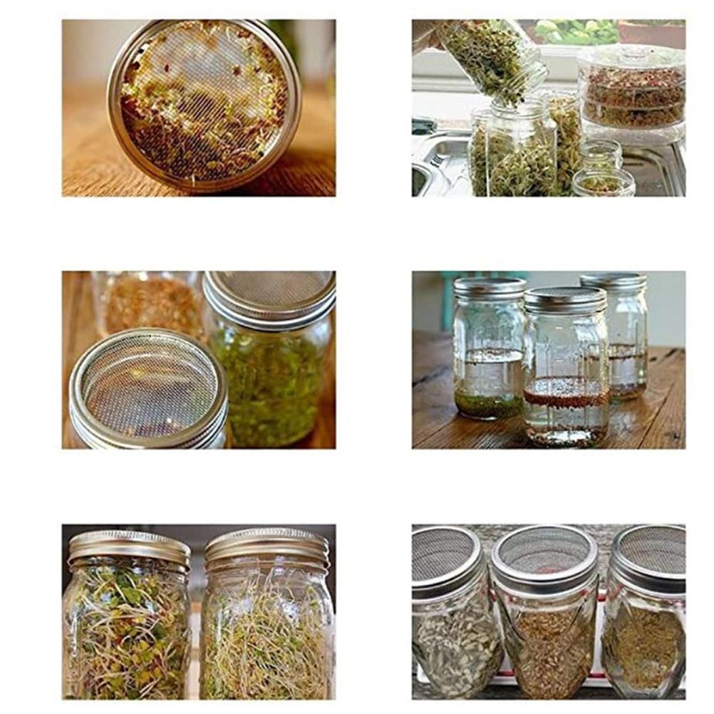Sprouting Jar With Stainless Steel 304 Screen Lid Wide Mouth Quart Mason Sprouter