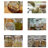 Sprouting Jar With Stainless Steel 304 Screen Lid Wide Mouth Quart Mason Sprouter - Low Angle