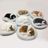 Realistic Sleeping Cat Toy Breathing Cat Stuffed Animal Doll with Mat Plush Toys for Children Home Ornament - Close-Up Angle