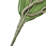 Phalaenopsis Leaves Orchid Leaves Wedding Home Decoration Simulation Plants - Side View