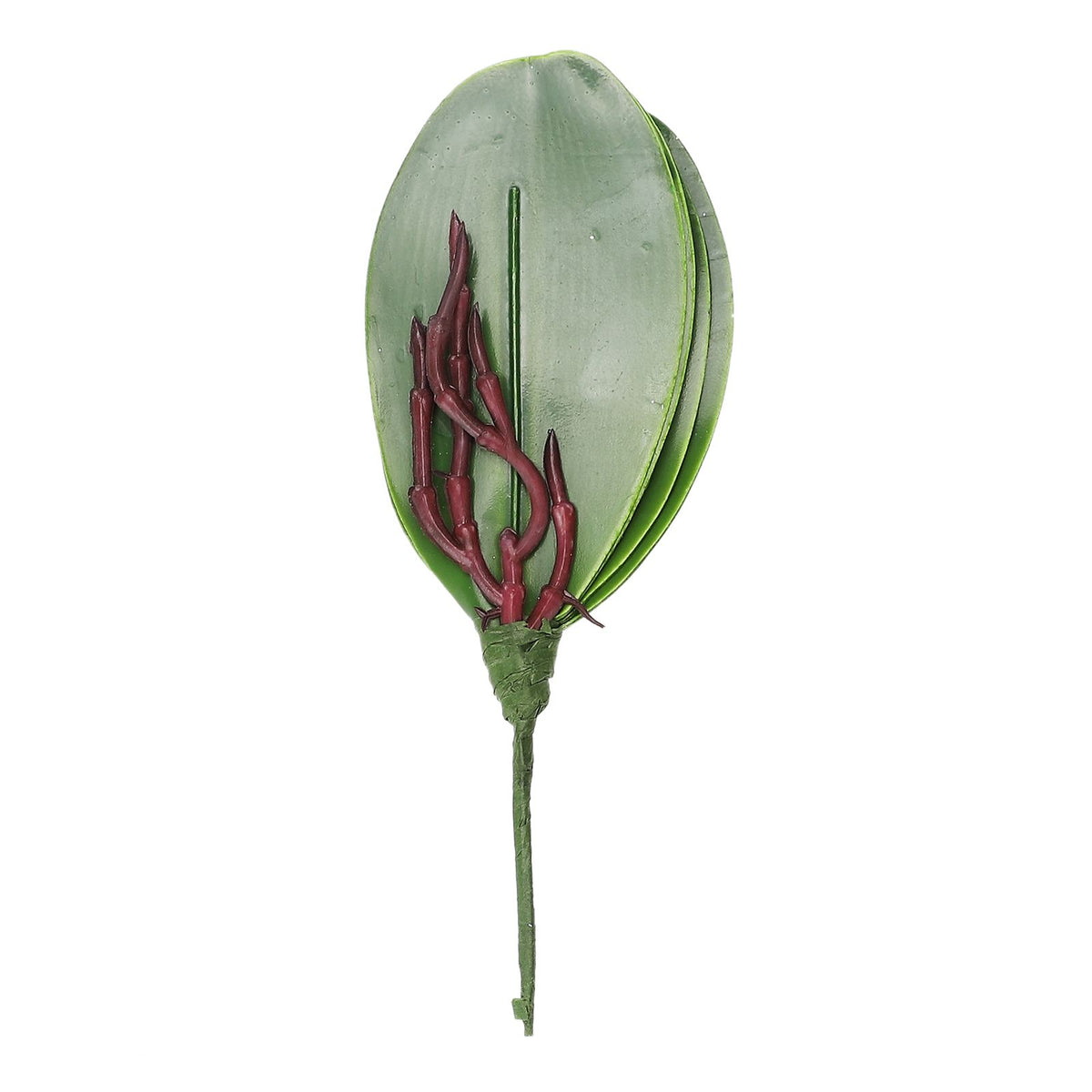 Phalaenopsis Leaves Orchid Leaves Wedding Home Decoration Simulation Plants
