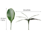 Phalaenopsis Leaves Orchid Leaves Wedding Home Decoration Simulation Plants - Close-Up Angle