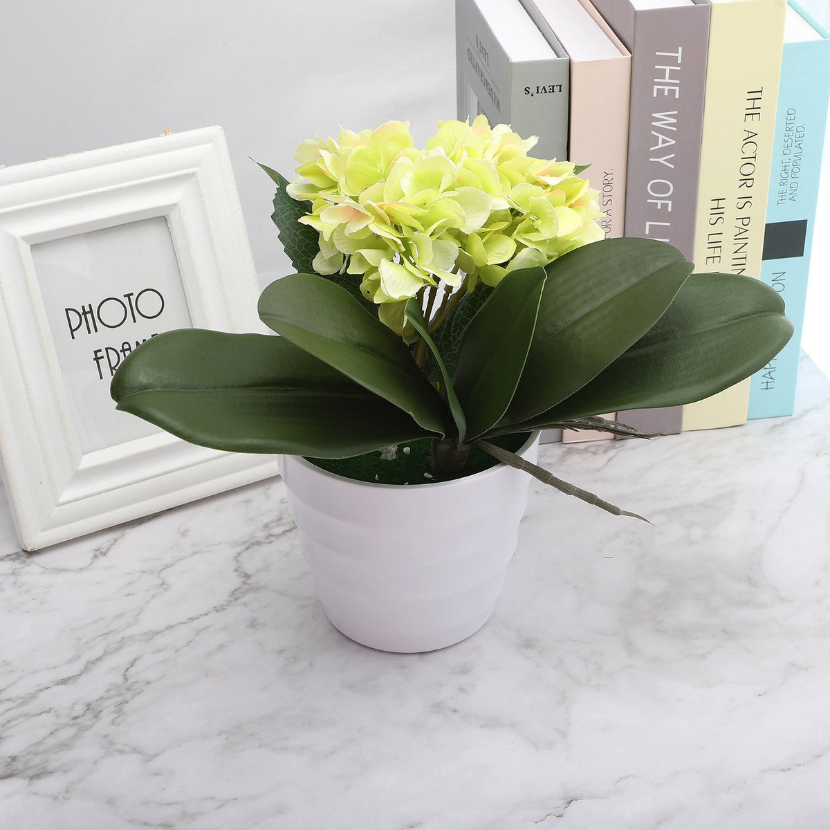 Phalaenopsis Leaves Orchid Leaves Wedding Home Decoration Simulation Plants