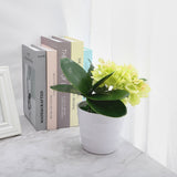 Phalaenopsis Leaves Orchid Leaves Wedding Home Decoration Simulation Plants - Extra Image