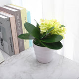 Phalaenopsis Leaves Orchid Leaves Wedding Home Decoration Simulation Plants - Extra Image