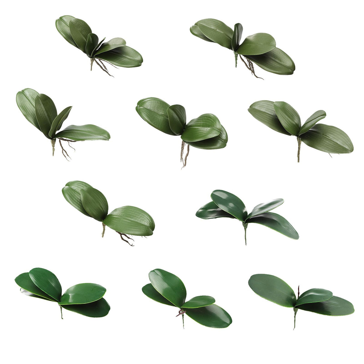 Phalaenopsis Leaves Orchid Leaves Wedding Home Decoration Simulation Plants