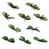 Phalaenopsis Leaves Orchid Leaves Wedding Home Decoration Simulation Plants