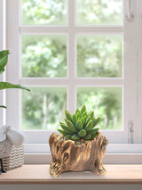 Cement Tree Stump Flower Pot - Extra Image
