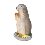 Resin Groundhog Small Ornaments Animal Model Landscape Props Resin Crafts Bonsai Decorations - Close-Up Angle