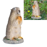 Resin Groundhog Small Ornaments Animal Model Landscape Props Resin Crafts Bonsai Decorations
