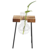 Desktop Glass Planter Wooden Stand Bulb Glass Vase Hydroponics Plant Planter for Home Office Garden1 Bottle