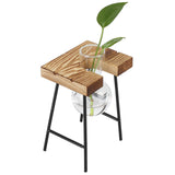 Desktop Glass Planter Wooden Stand Bulb Glass Vase Hydroponics Plant Planter for Home Office Garden1 Bottle