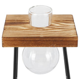 Desktop Glass Planter Wooden Stand Bulb Glass Vase Hydroponics Plant Planter for Home Office Garden1 Bottle