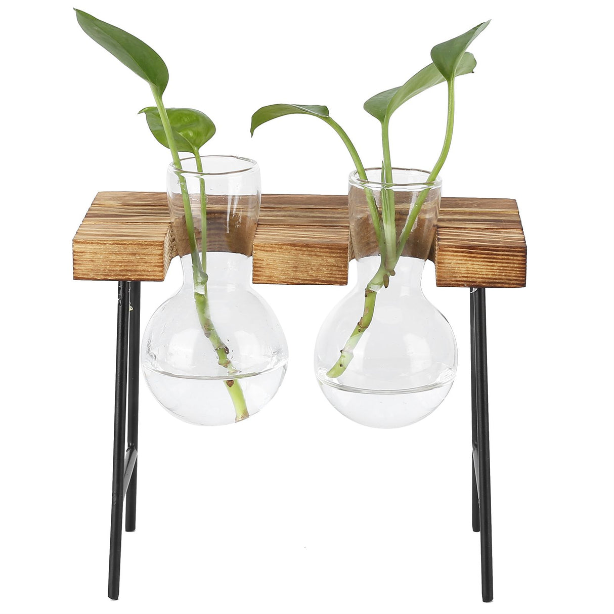 Desktop Glass Planter Wooden Stand Bulb Glass Vase Hydroponics Plant Planter for Home Office Garden2 Bottle