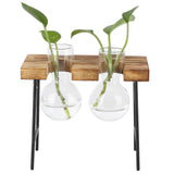 Desktop Glass Planter Wooden Stand Bulb Glass Vase Hydroponics Plant Planter for Home Office Garden2 Bottle - Close-Up Angle