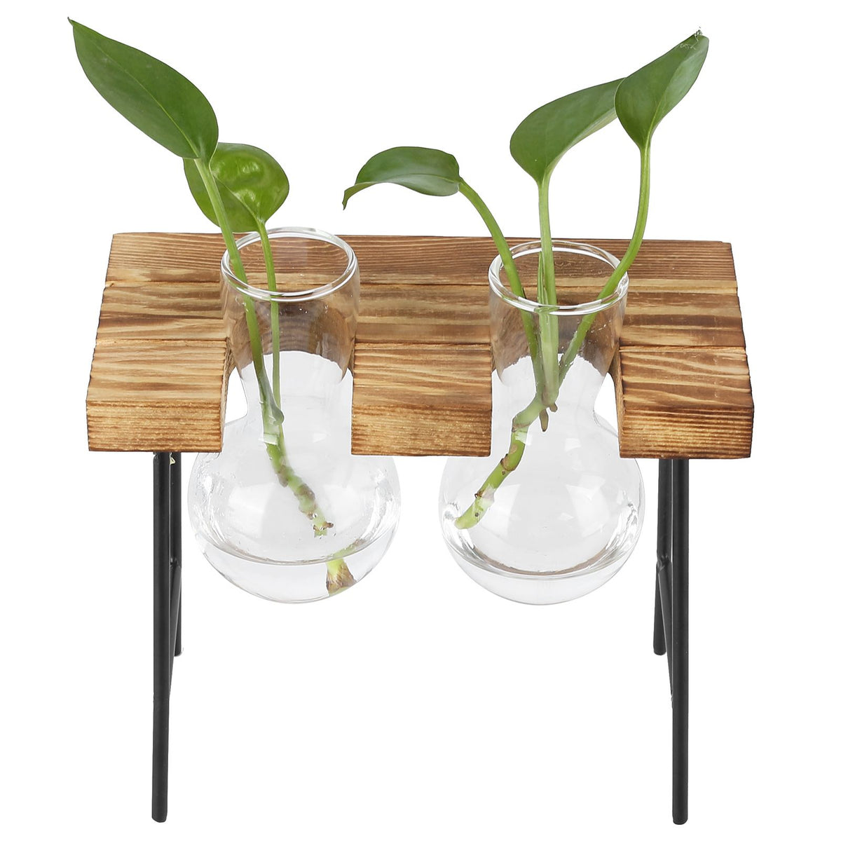 Desktop Glass Planter Wooden Stand Bulb Glass Vase Hydroponics Plant Planter for Home Office Garden2 Bottle