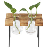 Desktop Glass Planter Wooden Stand Bulb Glass Vase Hydroponics Plant Planter for Home Office Garden2 Bottle - Low Angle