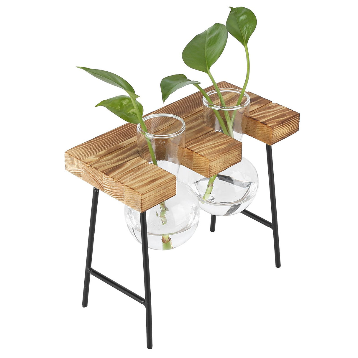 Desktop Glass Planter Wooden Stand Bulb Glass Vase Hydroponics Plant Planter for Home Office Garden2 Bottle