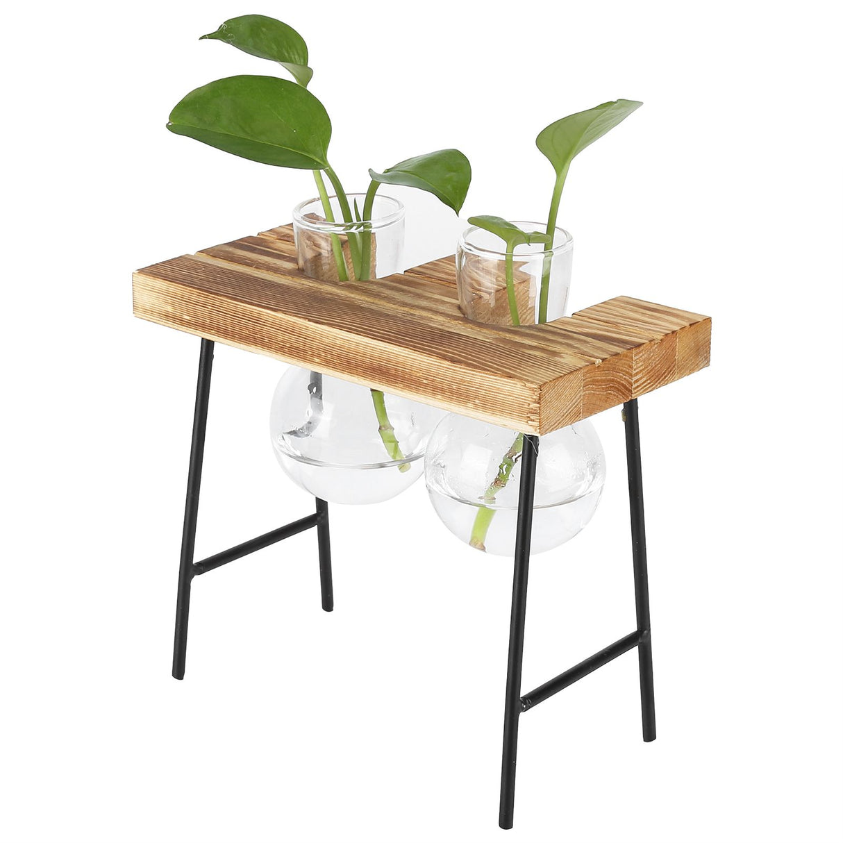 Desktop Glass Planter Wooden Stand Bulb Glass Vase Hydroponics Plant Planter for Home Office Garden2 Bottle