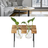 Desktop Glass Planter Wooden Stand Bulb Glass Vase Hydroponics Plant Planter for Home Office Garden2 Bottle - Extra Image