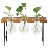 Desktop Glass Planter Wooden Stand Bulb Glass Vase Hydroponics Plant Planter for Home Office Garden3 Bottle